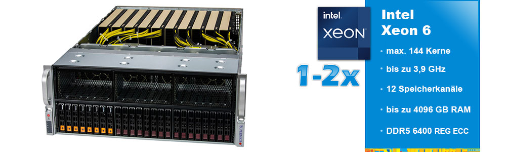 Intel Xeon GPU Server